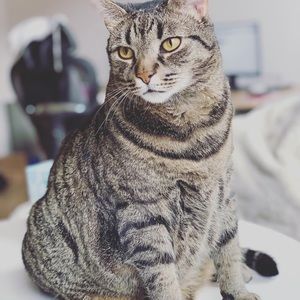 Meet your Posher, Xiangying